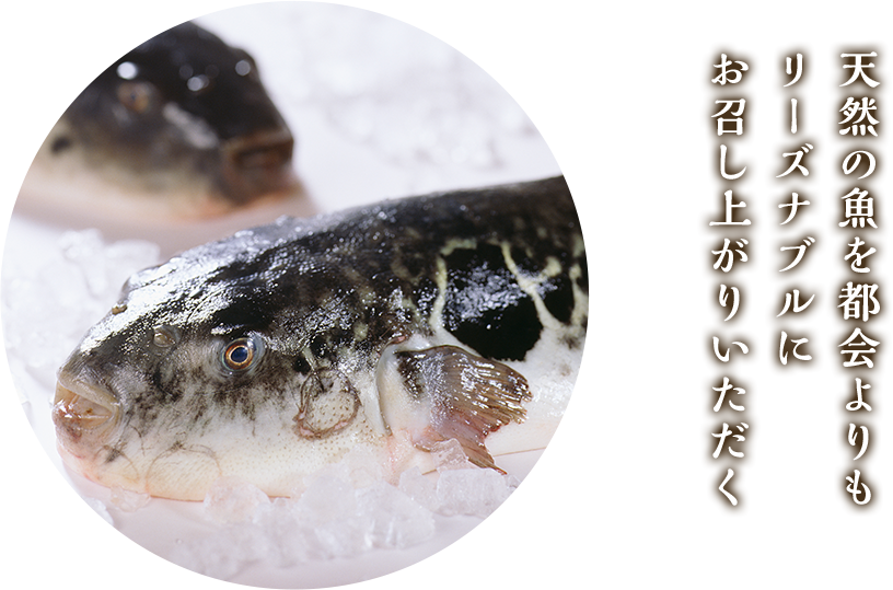 天然の魚を都会よりもリーズナブルにお召し上がりいただく